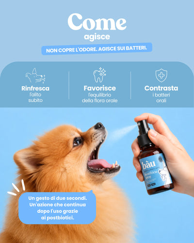 Dentifricio spray