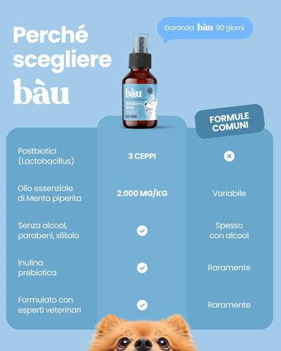 Dentifricio spray