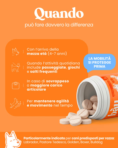 Movilidad y articulaciones