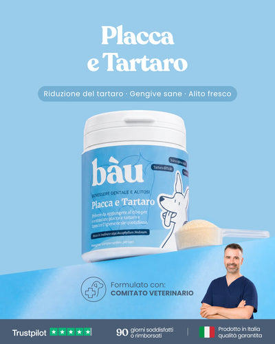 Placca e Tartaro