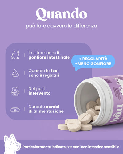 Probiotico e Equilibrio intestinale