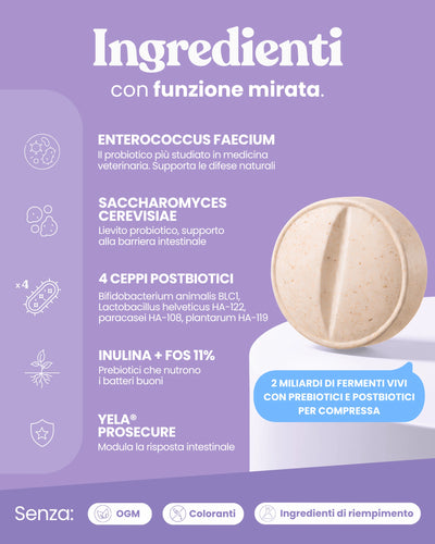Probiotico e Equilibrio intestinale