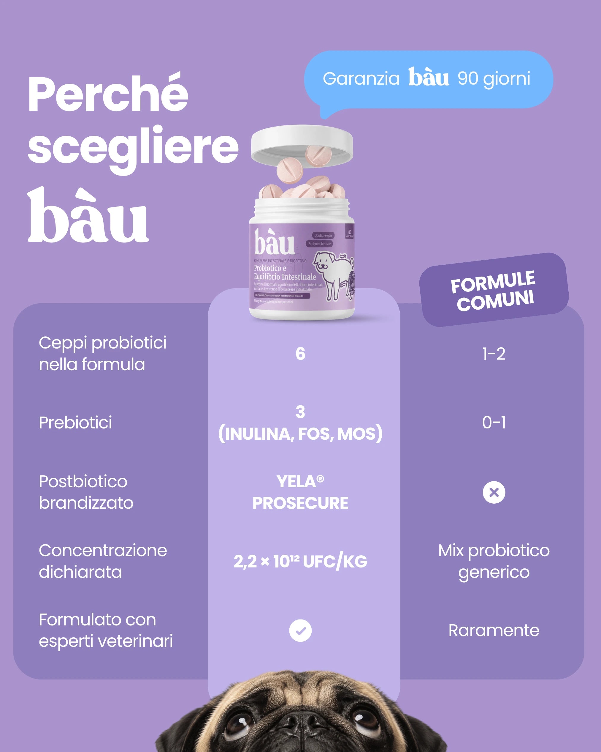 Probiotico e Equilibrio intestinale