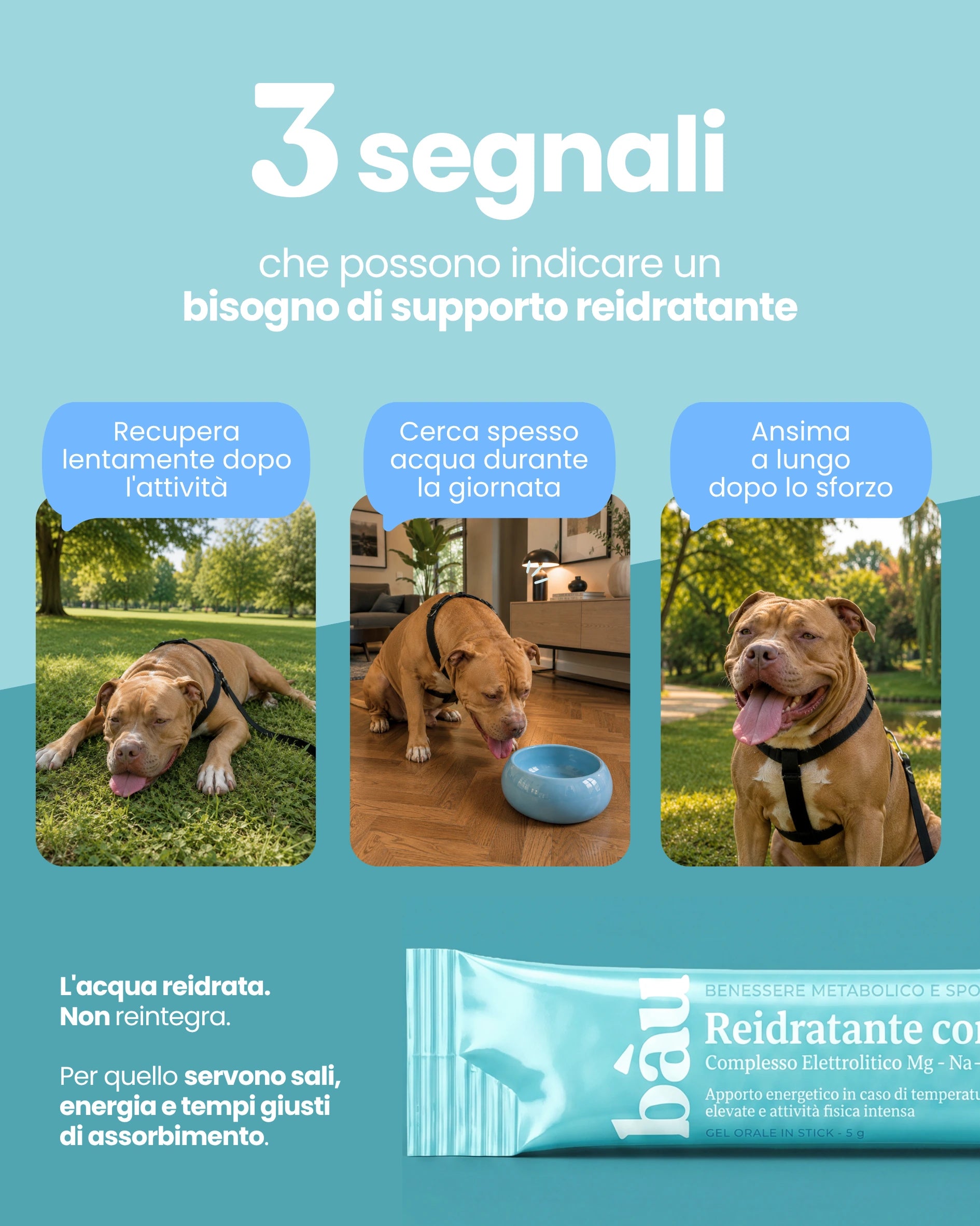 Reidratante con Complesso Elettrolitico