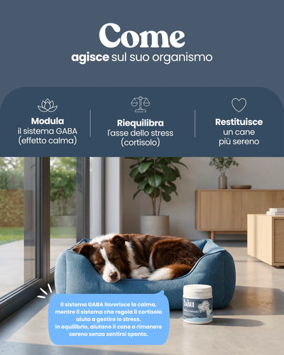 Relax e Serenità