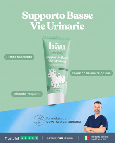 Supporto Basse Vie Urinarie
