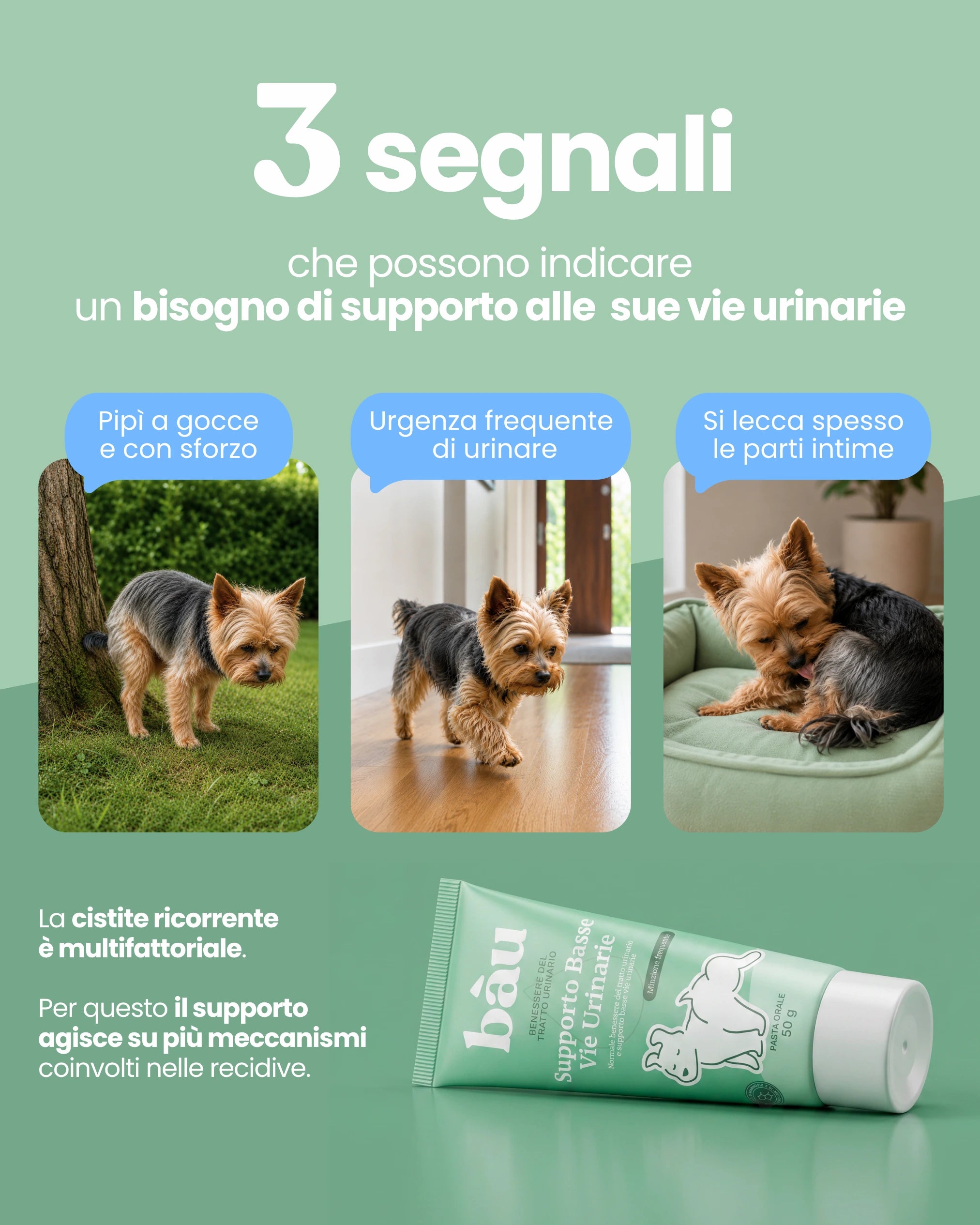 Supporto Basse Vie Urinarie
