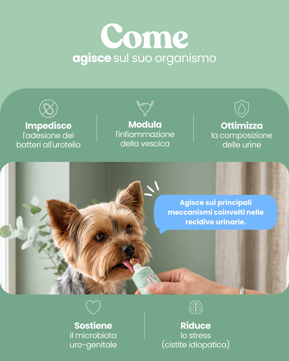 Supporto Basse Vie Urinarie