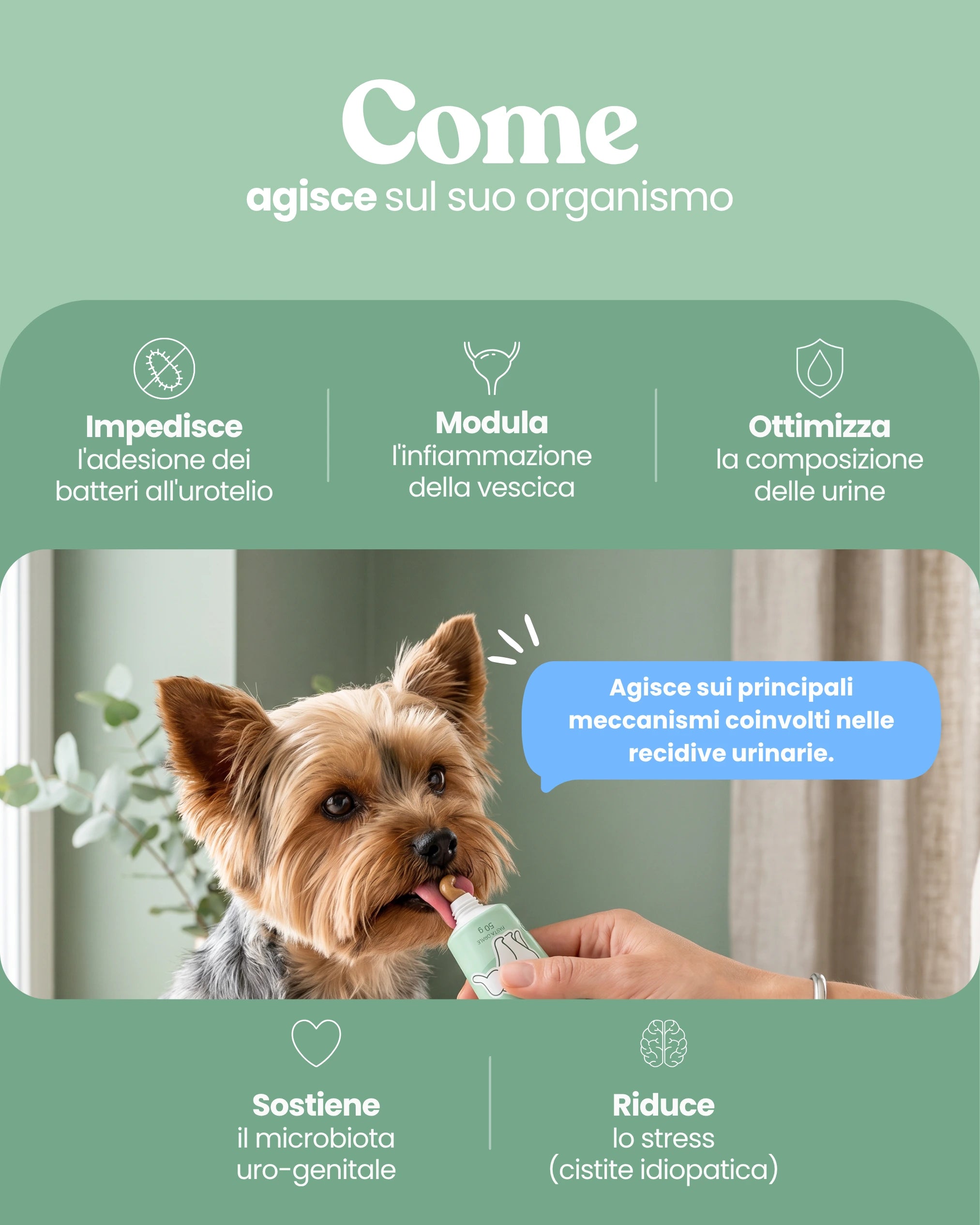 Supporto Basse Vie Urinarie