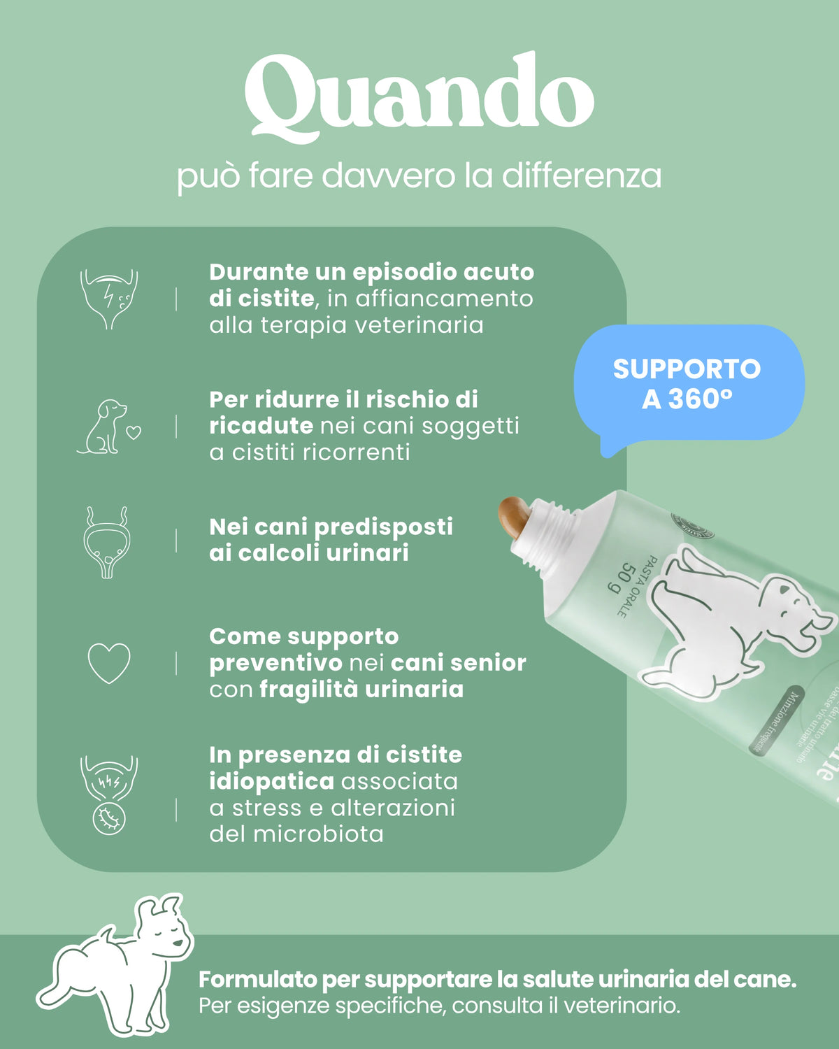 Supporto Basse Vie Urinarie