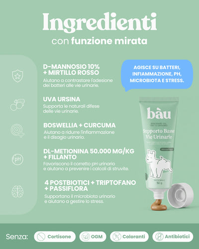 Supporto Basse Vie Urinarie