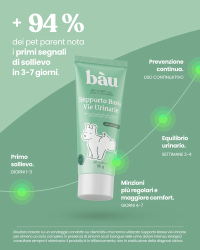 Supporto Basse Vie Urinarie