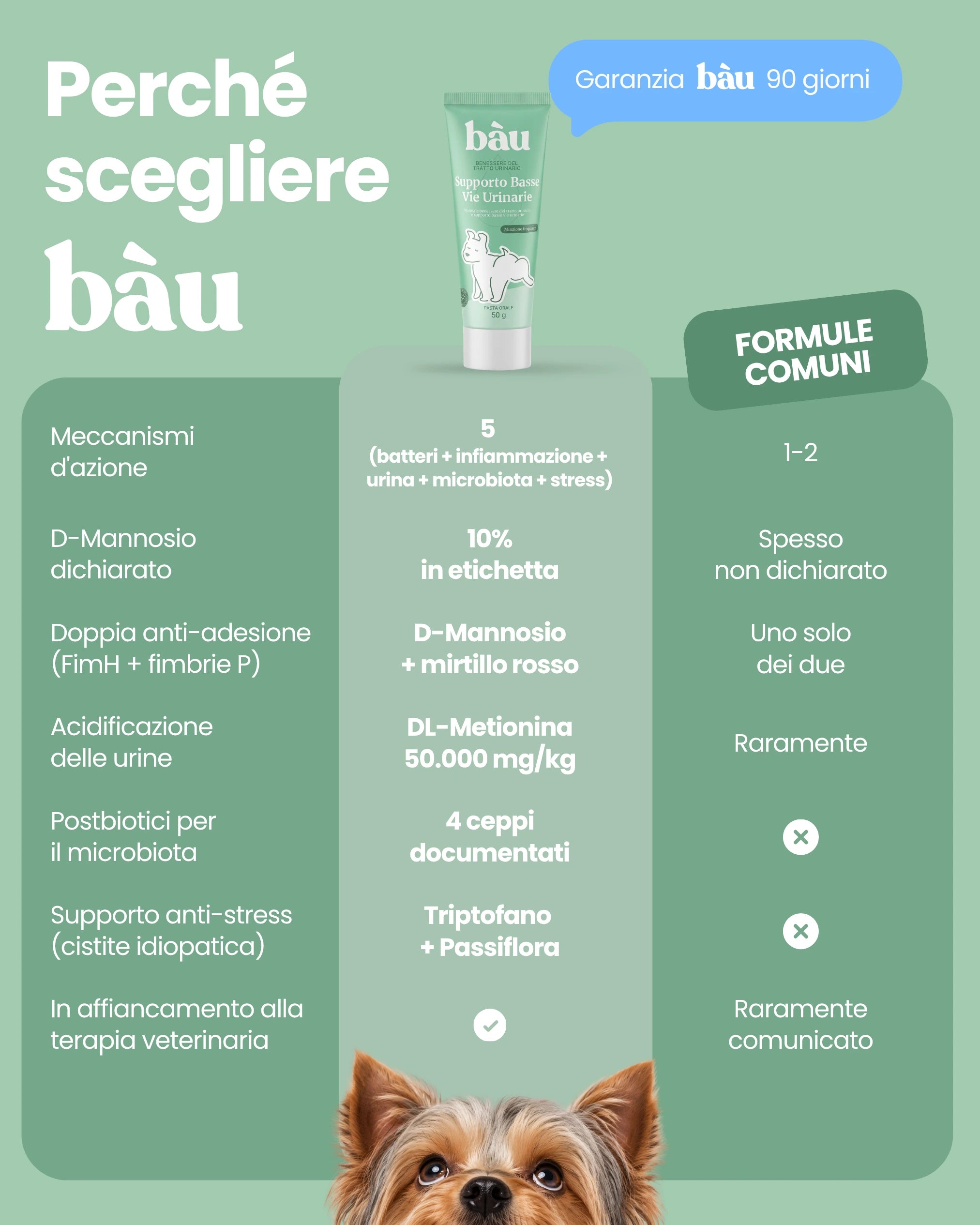 Supporto Basse Vie Urinarie