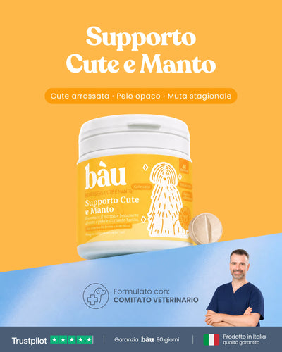 Supporto Cute e Manto