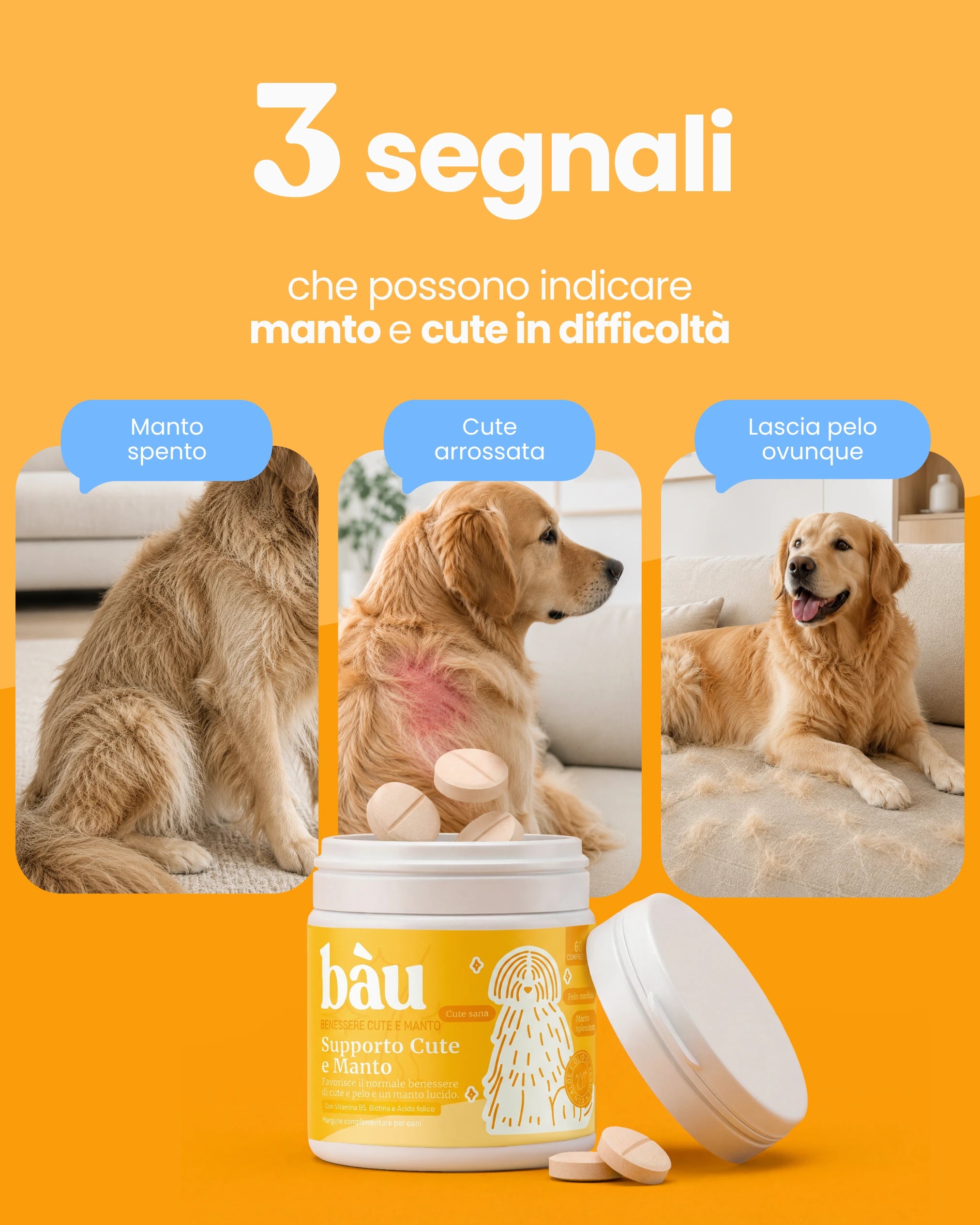 Supporto Cute e Manto