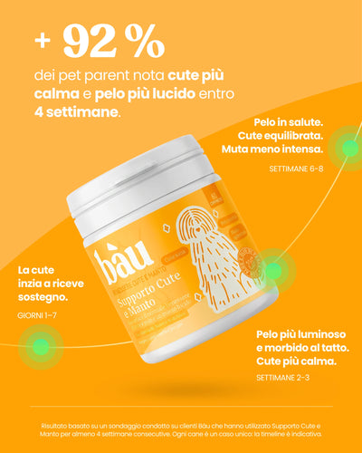Supporto Cute e Manto