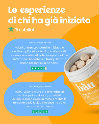 Supporto Cute e Manto