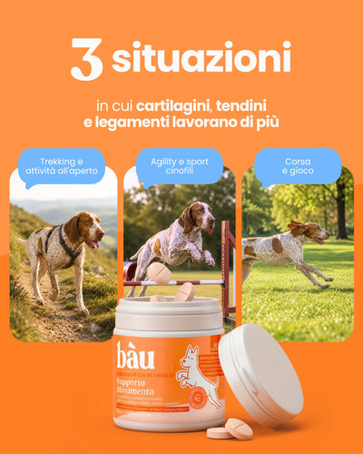 Supporto Movimento