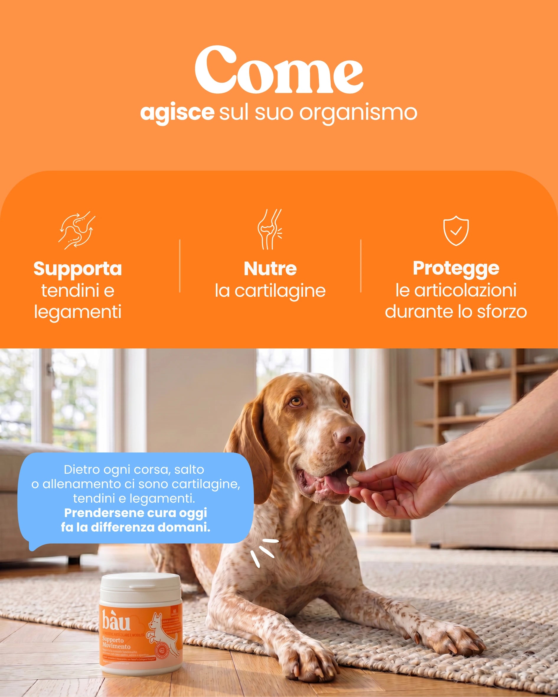 Supporto Movimento