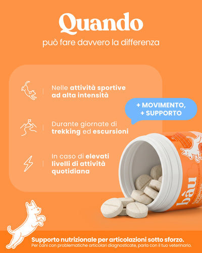 Supporto Movimento