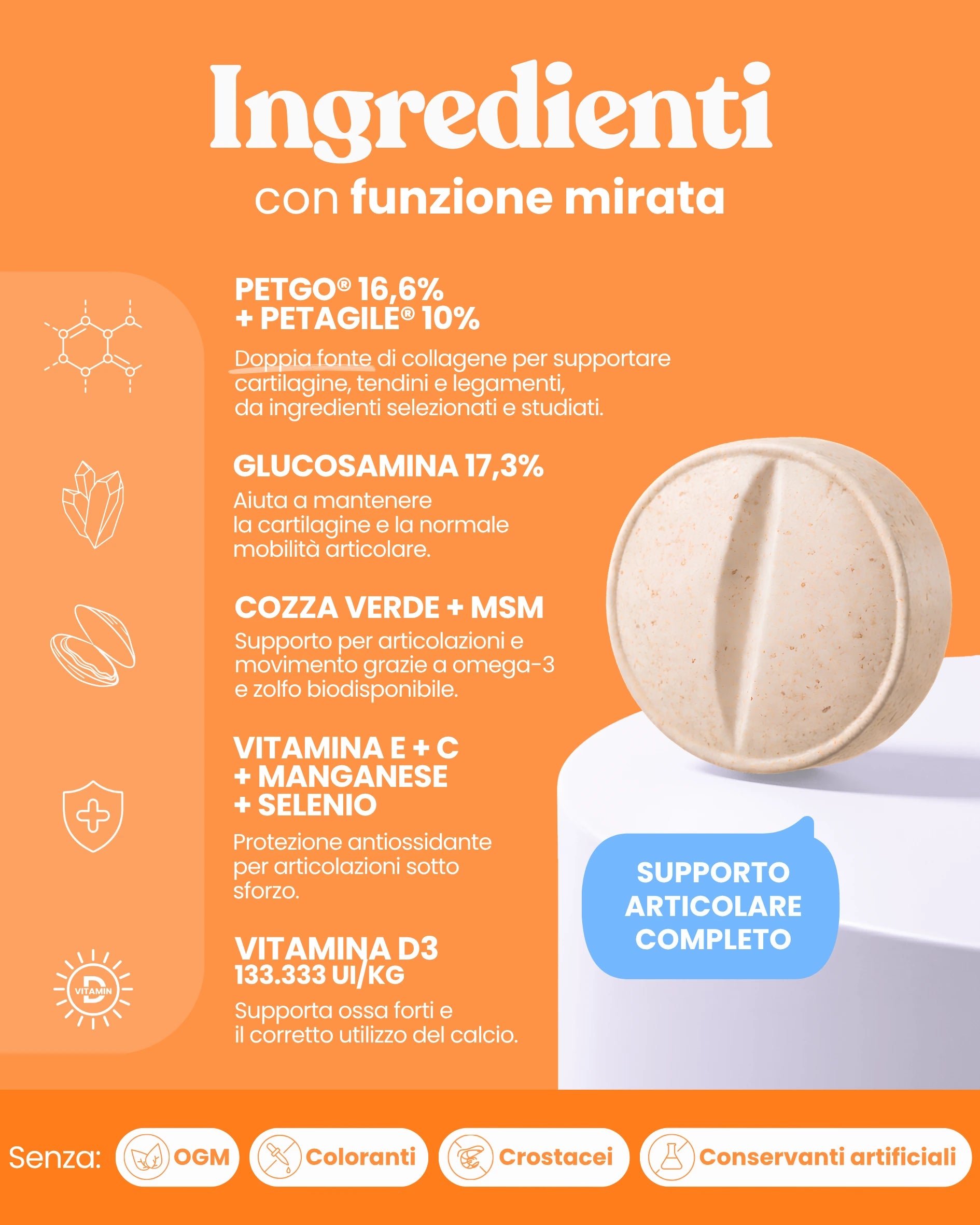 Supporto Movimento