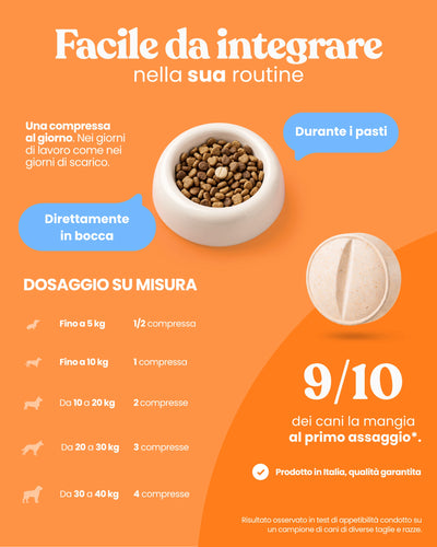 Supporto Movimento