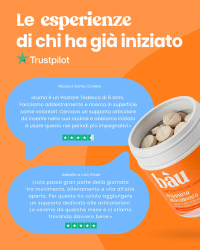 Supporto Movimento
