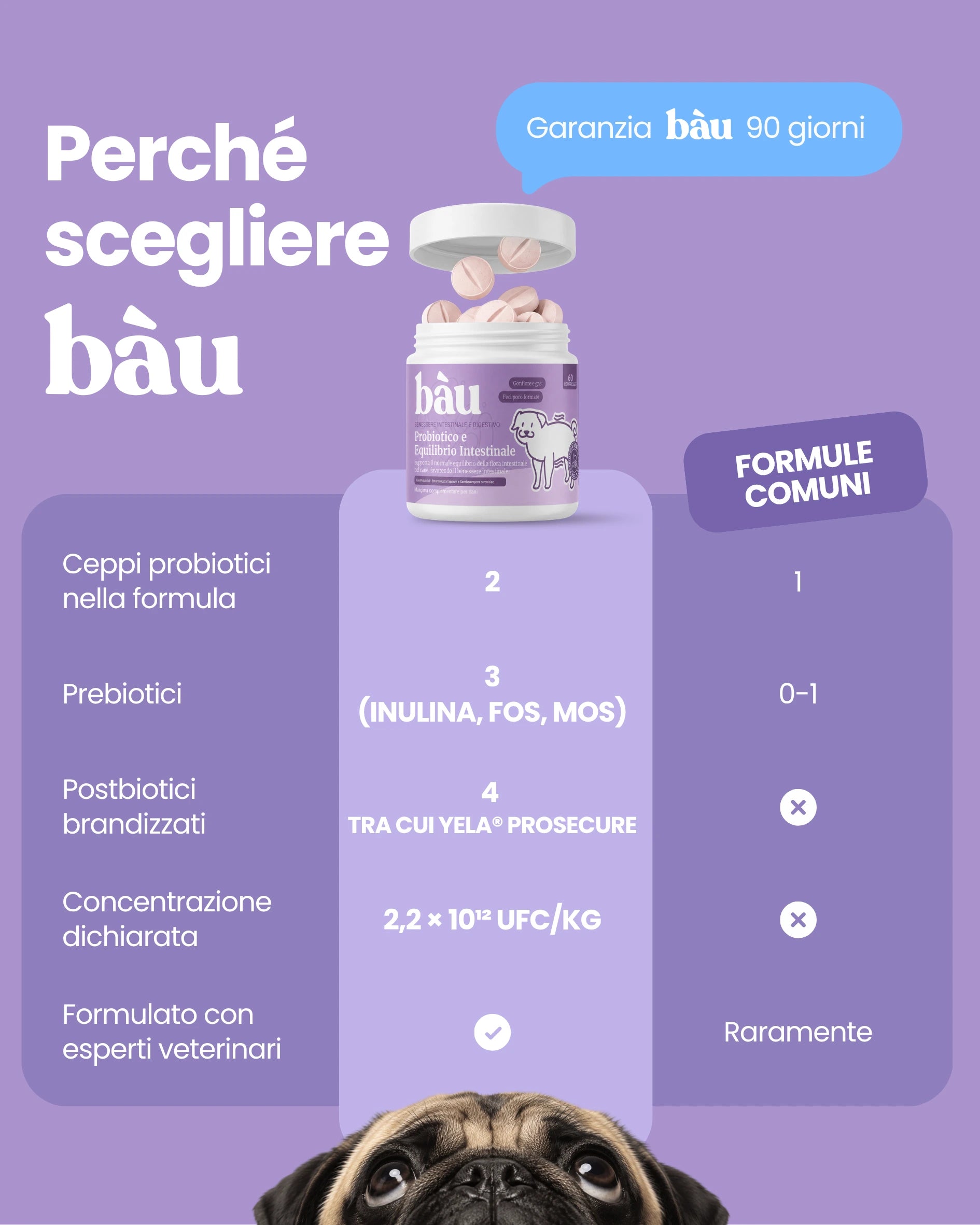 Probióticos y salud intestinal