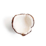 Cocco
