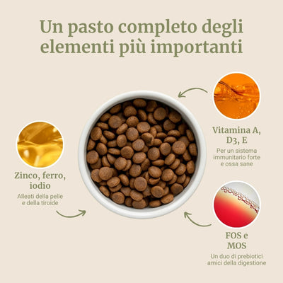 Crocchette con Agnello, Patate Dolci e Menta per cani adulti di taglia media