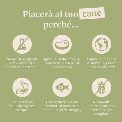 Crocchette con Agnello, Patate Dolci e Menta per cani adulti di taglia media