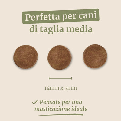 Crocchette con Agnello, Patate Dolci e Menta per cani adulti di taglia media