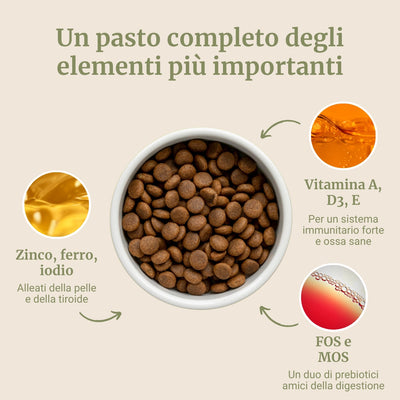 Crocchette con Agnello, Patate Dolci e Menta per cani adulti di taglia piccola