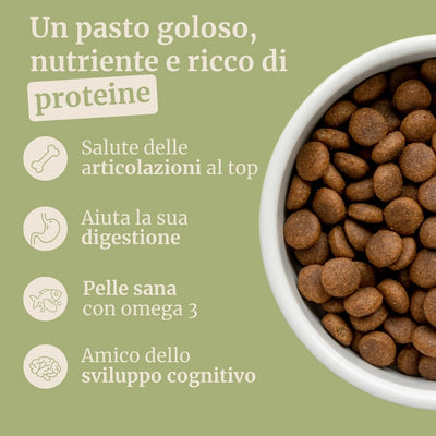 Crocchette con Agnello, Patate Dolci e Menta per cani adulti di taglia piccola