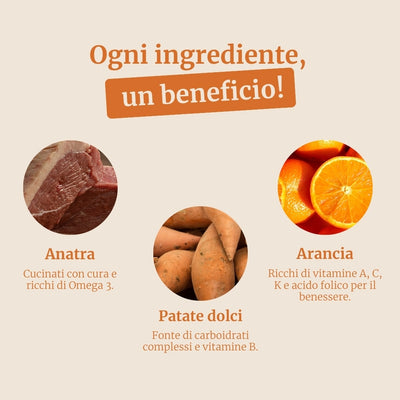 Crocchette con Anatra, Patate dolci e Arancia per cani adulti di taglia piccola