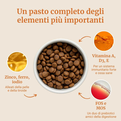 Crocchette con Anatra, Patate dolci e Arancia per cani adulti di taglia piccola