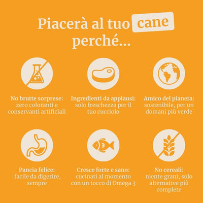 Crocchette con Anatra, Patate dolci e Arancia per cani adulti di taglia piccola