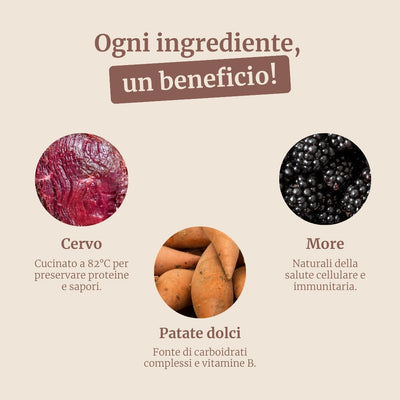 Crocchette con Cervo, Salmone, Patate Dolci e More per cani adulti di taglia media