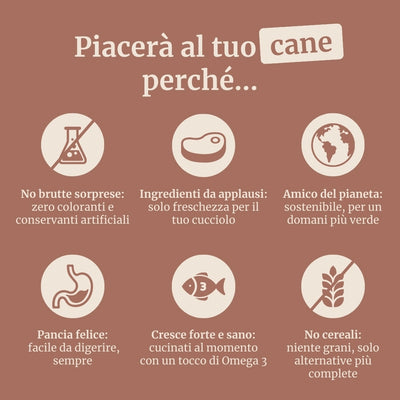 Crocchette con Cervo, Salmone, Patate Dolci e More per cani adulti di taglia media
