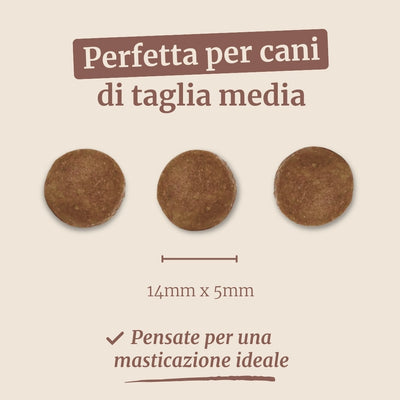 Crocchette con Cervo, Salmone, Patate Dolci e More per cani adulti di taglia media