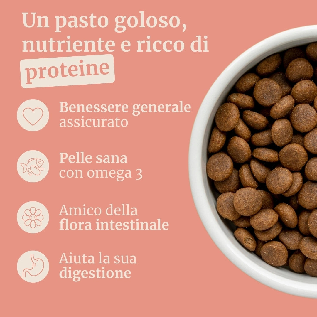 Crocchette con Coniglio, Patate Dolci e More per cani adulti di taglia media