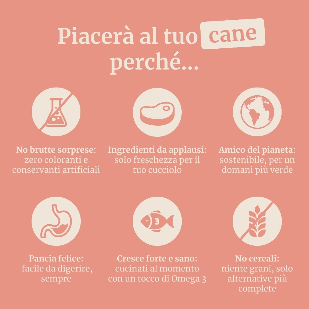 Crocchette con Coniglio, Patate Dolci e More per cani adulti di taglia media