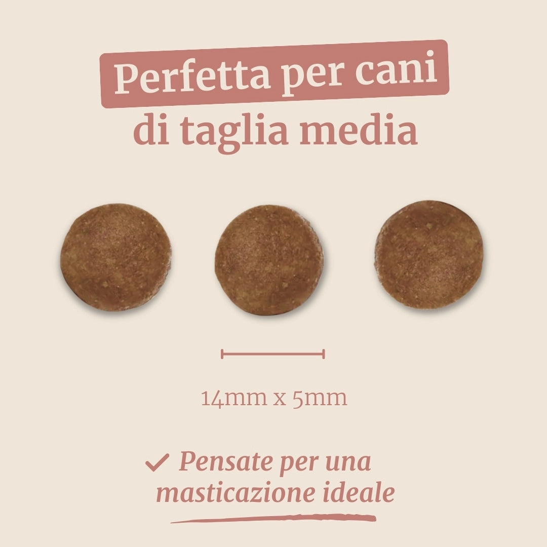 Crocchette con Coniglio, Patate Dolci e More per cani adulti di taglia media