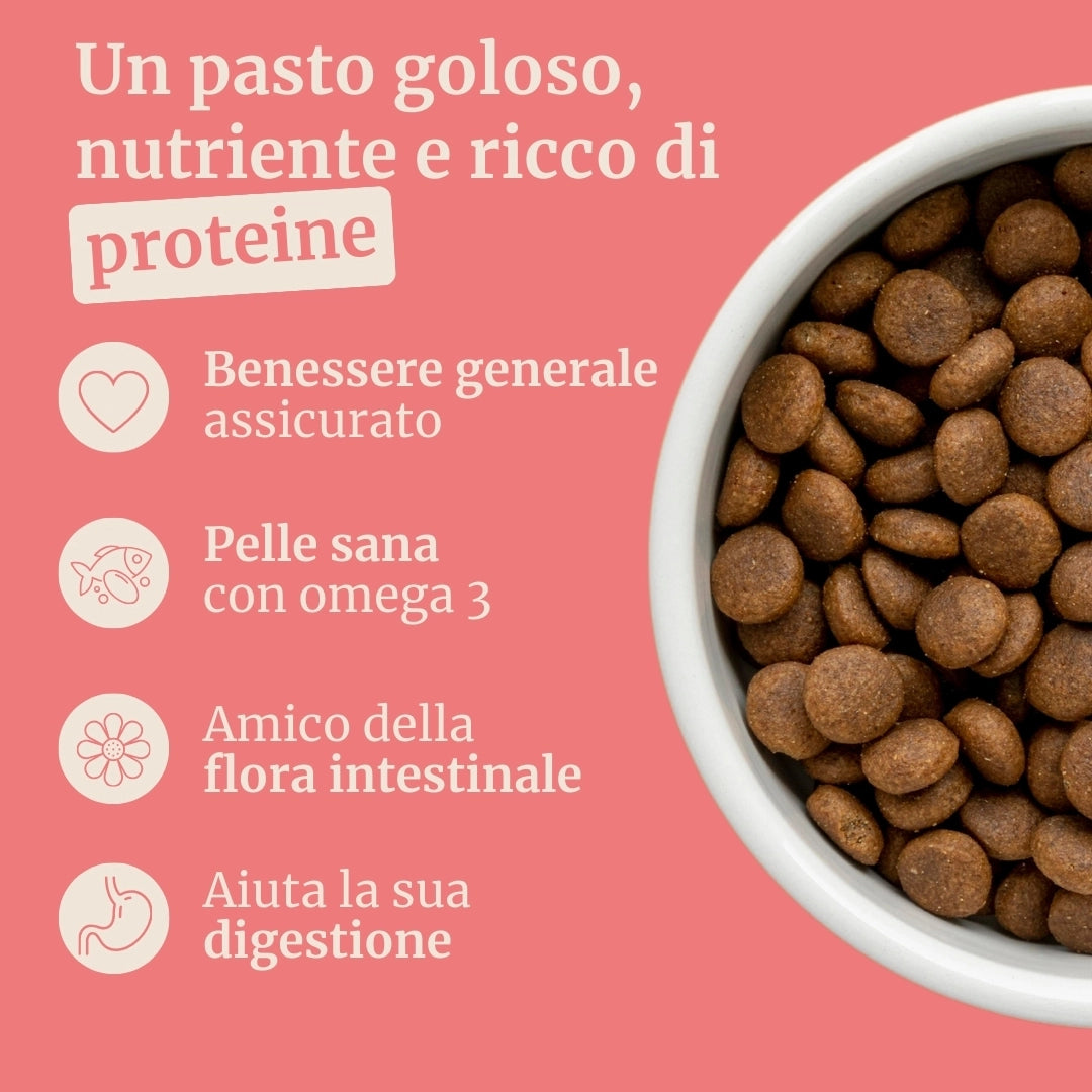 Crocchette con Maiale, Patate Dolci e Mela per cani adulti di taglia media