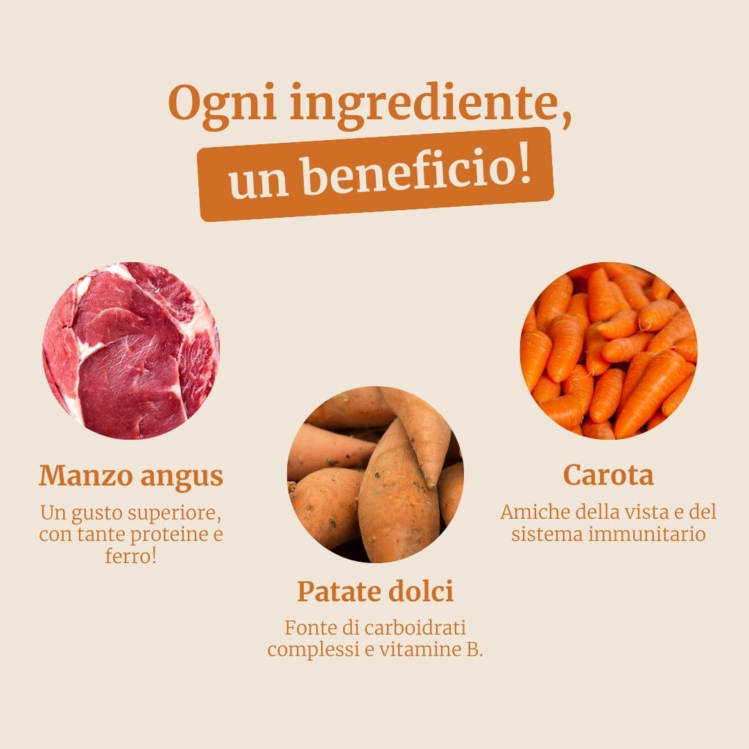 Crocchette con Manzo Angus , Patate Dolci e Carota per cani adulti di taglia media