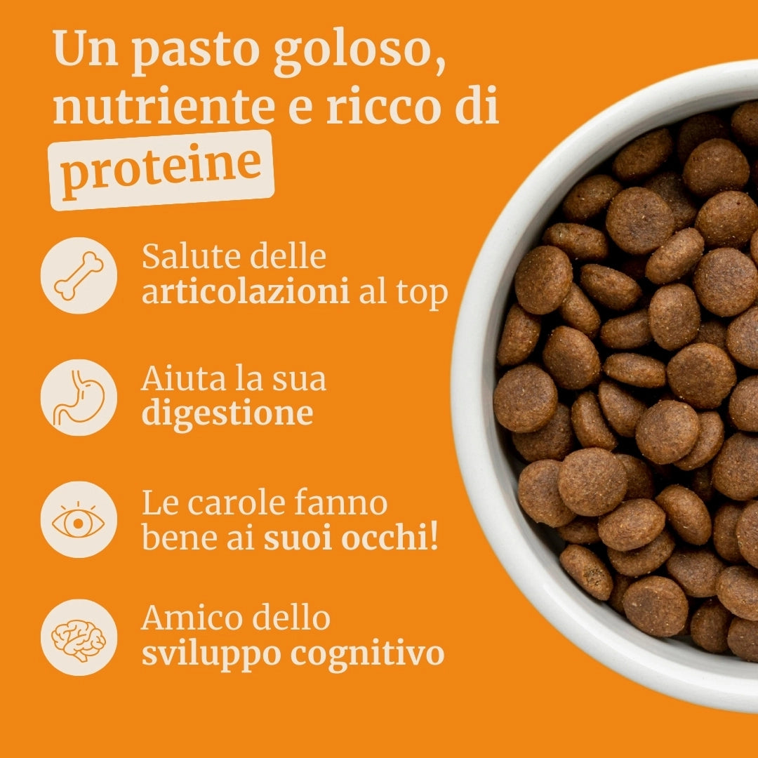 Crocchette con Manzo Angus , Patate Dolci e Carota per cani adulti di taglia media