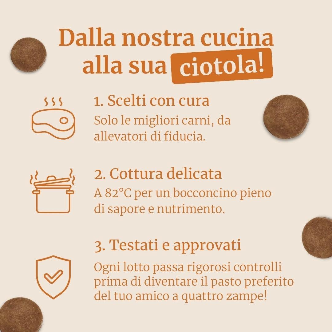 Crocchette con Manzo Angus , Patate Dolci e Carota per cani adulti di taglia media