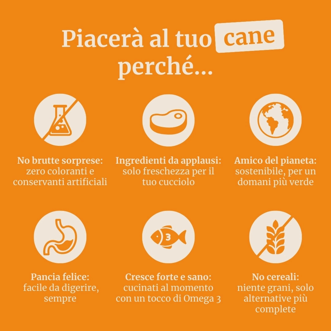 Crocchette con Manzo Angus , Patate Dolci e Carota per cani adulti di taglia media