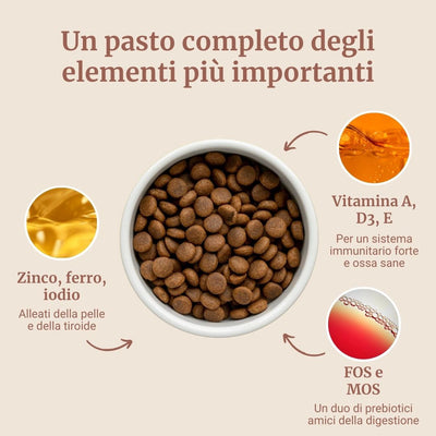 Crocchette con Pollo, Patate Dolci ed Erbe per cani adulti di taglia media