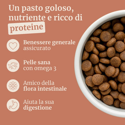 Crocchette con Pollo, Patate Dolci ed Erbe per cani adulti di taglia media
